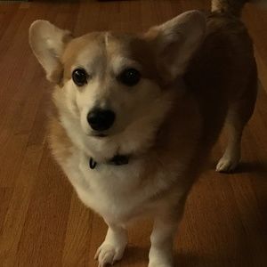 Meet your Posher, Kalina